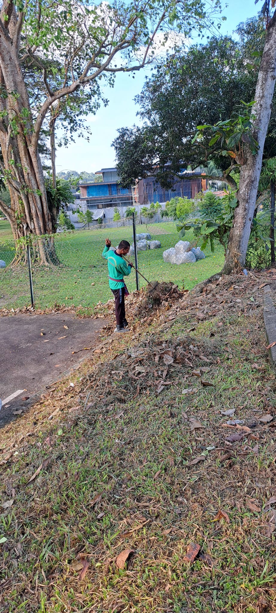 Professional Waste Disposal